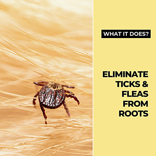 Moe Puppy Tick Defense Pet Shampoo For Repelling Fleas, 300 ml  Cedarwood Oil, Witch Hazel Extract