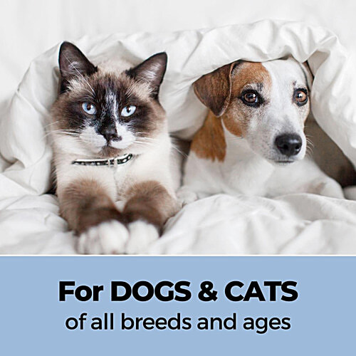 Moe Puppy Rinse Free Dry Shampoo For Instantly Clean & Fresh Fur, 150 ml With Oatmeal & OliveOil