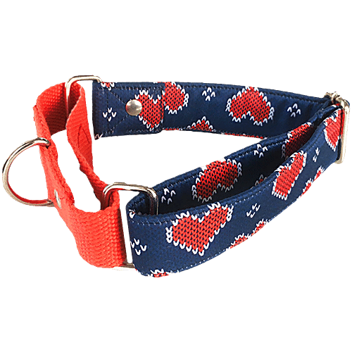 Dog-O-Bow "Hearty" Blue Martingale Collar, 1 pc (Size - L) 