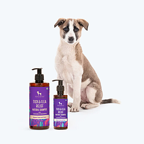 Heads Up for Tails Tick & Flea Relief Dog Shampoo, 200 ml  