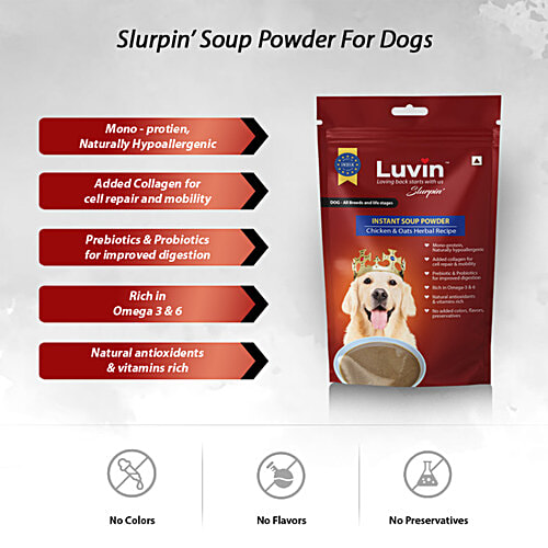 Luvin Slurpin' Chicken & Oats Instant Soup Powder - For Dogs, 120 g (Pack of 2) Rich in Omega 3 & 6, Prebiotic & Probiotics, No Added Colours, No Added Flavours & Preservatives, Mono-Protein
