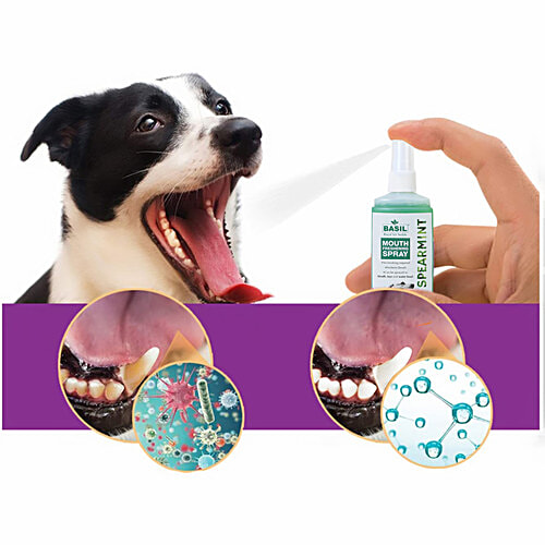 Basil Spearmint Mouth Freshening Spray - For Dogs, 130 ml  