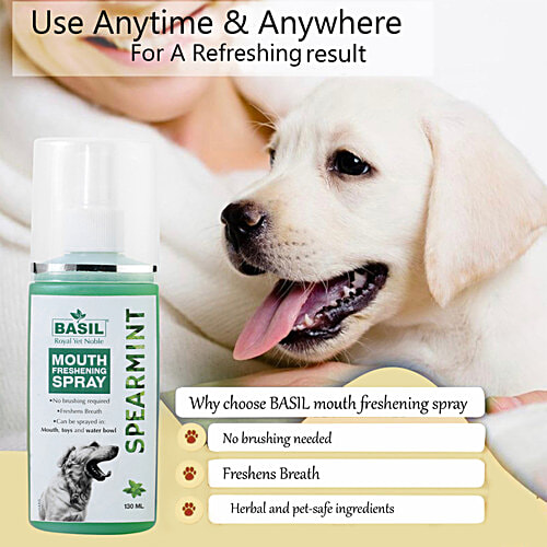 Basil Spearmint Mouth Freshening Spray - For Dogs, 130 ml  