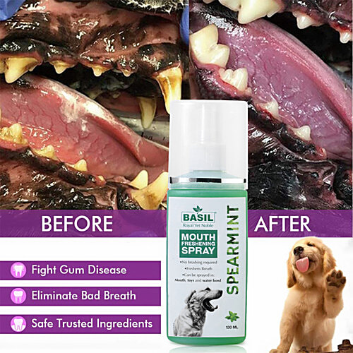 Basil Spearmint Mouth Freshening Spray - For Dogs, 130 ml  