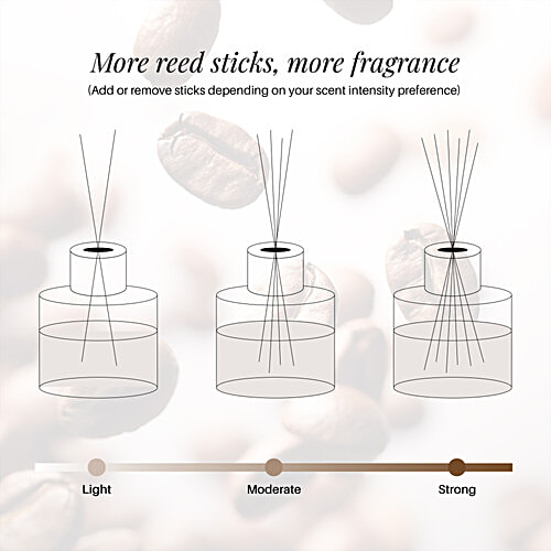 Soul & Scents Coffee Refillable Reed Diffuser, 120 ml Sustainable Scents