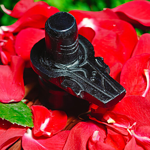 House of Festivals Stone Shivling - Black, 1 pc