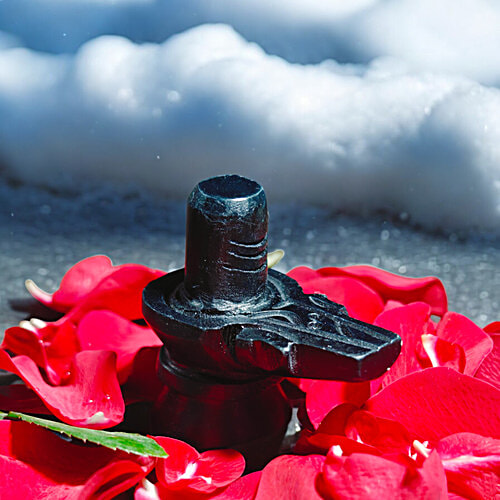 House of Festivals Stone Shivling - Black, 1 pc