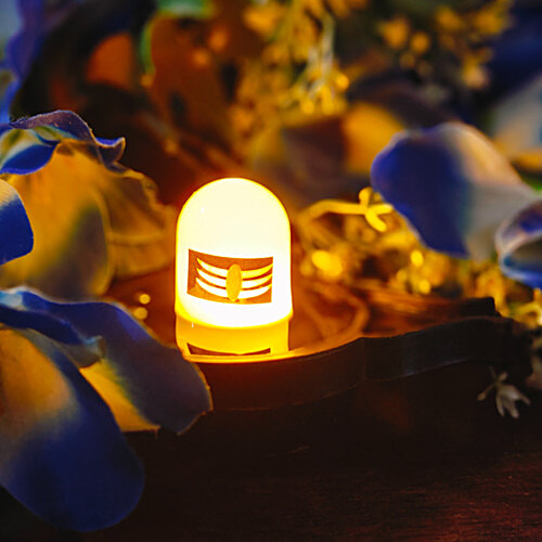 House of Festivals Water Sensor Shivling, 1 pc