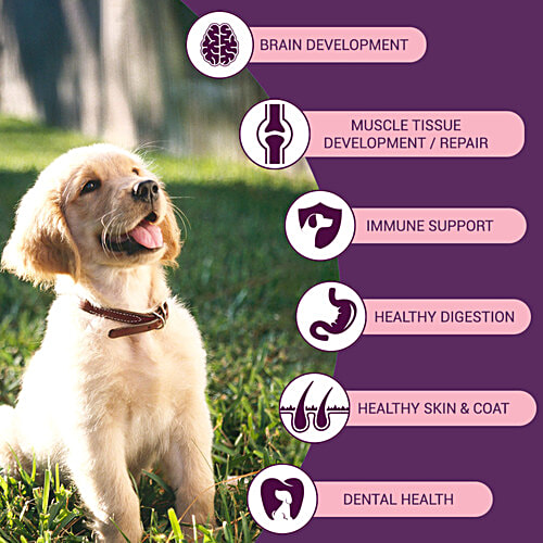 Bowlers Nutrimax Chicken & Milk Dry Food For Puppy, 1.2 kg  For All Breeds