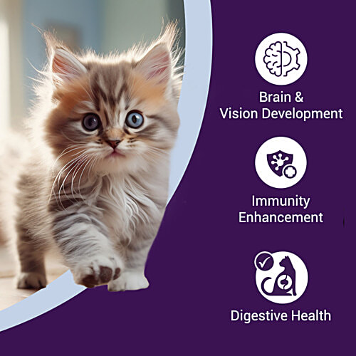 Purrfeto Chicken & Rice - Dry Kitten Food, 1.2 kg