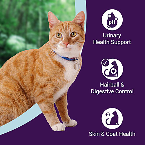 Purrfeto Chicken & Rice - Adult Dry Cat Food, 100 g