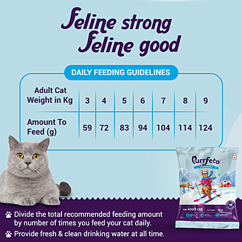 Purrfeto Chicken & Rice - Adult Dry Cat Food, 100 g