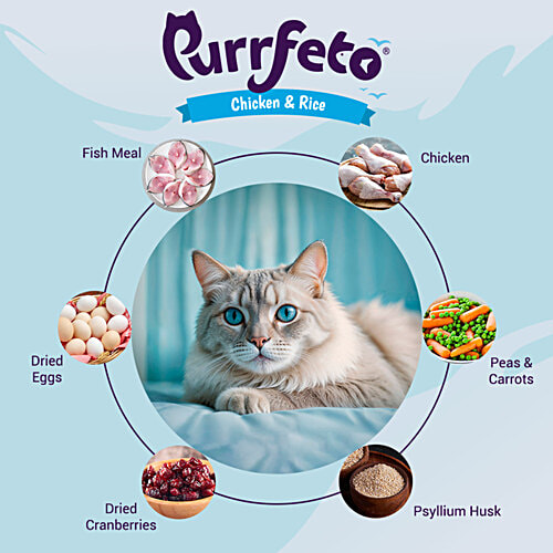 Purrfeto Chicken & Rice - Adult Dry Cat Food, 100 g