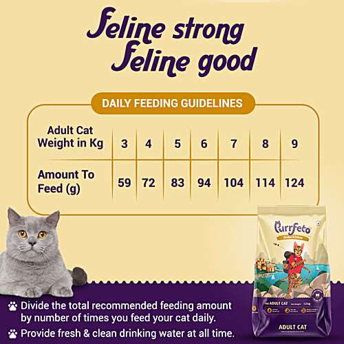 Purrfeto Chicken & Salmon - Adult Dry Cat Food, 1.2 kg