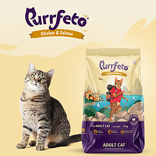 Purrfeto Chicken & Salmon - Adult Dry Cat Food, 1.2 kg