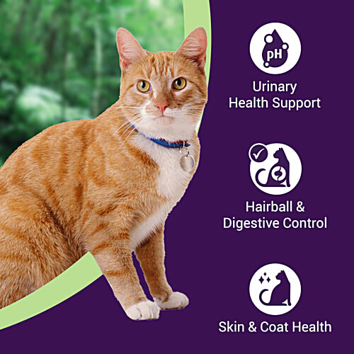 Purrfeto Chicken & Sardine - Adult Dry Cat Food, 3 kg