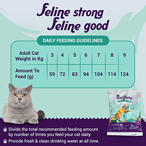 Purrfeto Chicken & Ocean Fish - Adult Dry Cat Food, 100 g