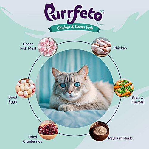 Purrfeto Chicken & Ocean Fish - Adult Dry Cat Food, 100 g
