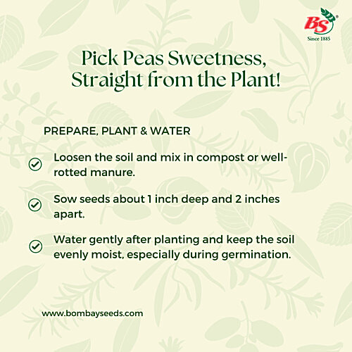 Bombay Seeds Peas Seeds, 10 g