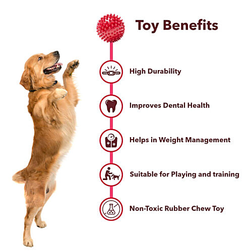 Nootie Chew Ball Rubber Toy For Dogs, 1 pc