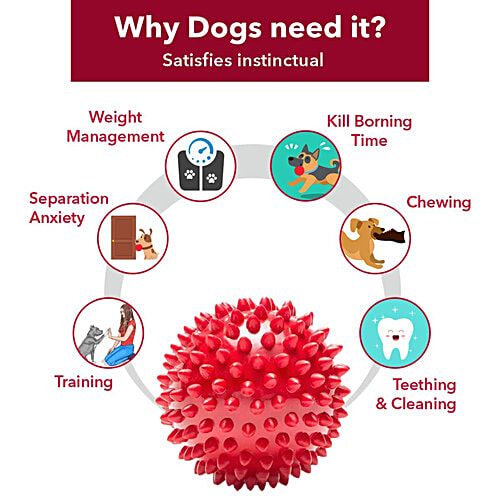 Nootie Chew Ball Rubber Toy For Dogs, 1 pc