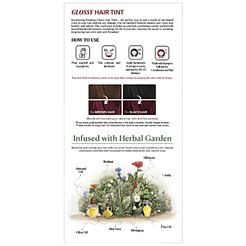 Paradyes Glossy Hair Tin Natural Looking Hair Colour - Berry Plum, Red Purple, 160 g Long Lasting Creme Colour, 15-20 Washes