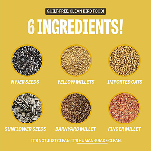 Petcrux Premium Mix Seed Bird Food - 9 Grain & Nut Blend, Budgie, Dove, Parrot & Sparrow, 1 kg 100% Natural, Wild Birds, High Energy, Human Grade Ingredients