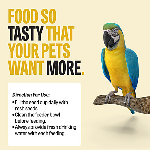 Petcrux Premium Mix Seed Bird Food - 9 Grain & Nut Blend, Budgie, Dove, Parrot & Sparrow, 1 kg 100% Natural, Wild Birds, High Energy, Human Grade Ingredients