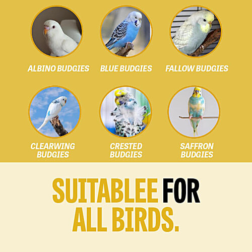 Petcrux Premium Mix Seed Bird Food - 9 Grain & Nut Blend, Budgie, Dove, Parrot & Sparrow, 1 kg 100% Natural, Wild Birds, High Energy, Human Grade Ingredients