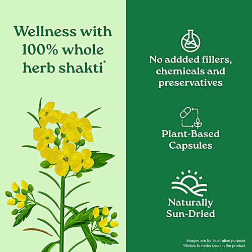 Organic India Gokshura Whole Herb Capsules, 60 pcs Boosts Energy & Vigour, Supports Men Wellness, Helps Promote Vitality, No Added Fillers, No Chemicals & Preservatives