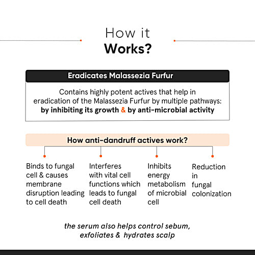 Minimalist CPH Complex + Oligopeptide 0.8% Anti-Dandruff Serum, 50 ml  For All Scalp Types