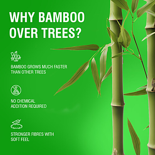 Beco Toilet Tissue Paper Rolls - 3 Ply, 6x160 Pulls  