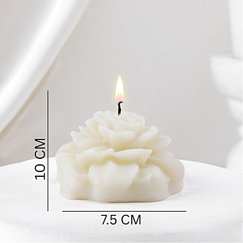 FNP Surprise Bundle, 1 pc  