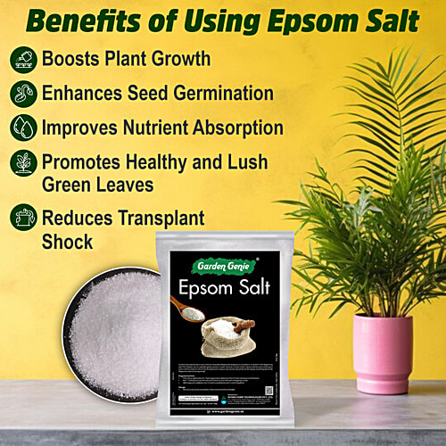 Garden Genie Epsom Salt For Plants, 800 g  Magnesium Sulphate Fertiliser For Growth