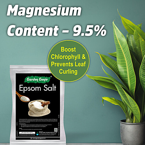 Garden Genie Epsom Salt For Plants, 800 g  Magnesium Sulphate Fertiliser For Growth