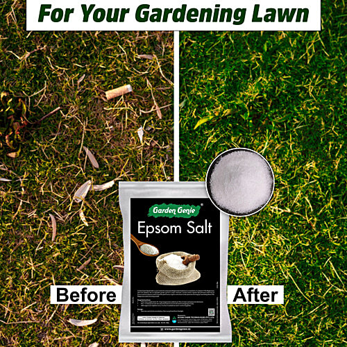 Garden Genie Epsom Salt For Plants, 800 g  Magnesium Sulphate Fertiliser For Growth