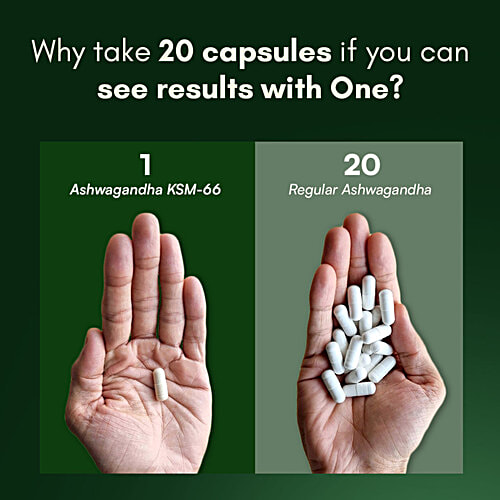 Rasayanam Ashwagandha KSM-66 500 mg Capsules, 60 pcs  Increase Vigour & Strength, Boosts Energy Level, Reduce Stress Levels