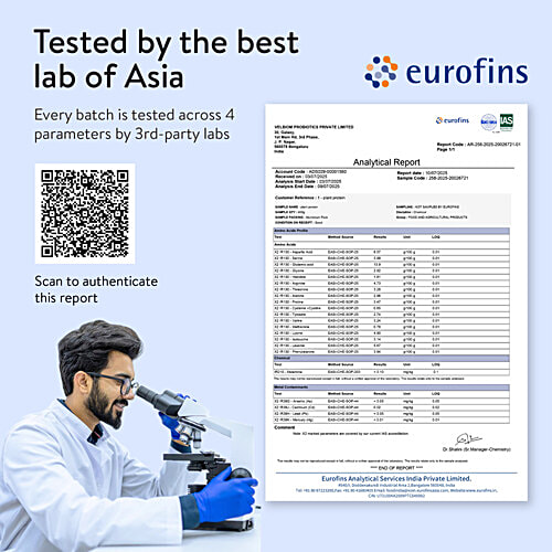 Happy Cultures Alphonso Mango Plant Protein Powder With Natural Pea & Brown Rice, 505 g  With Almond Chunks, Nutraceutical for Adults, No Added Sugar, Lactose Free, 24 g Protein per Scoop