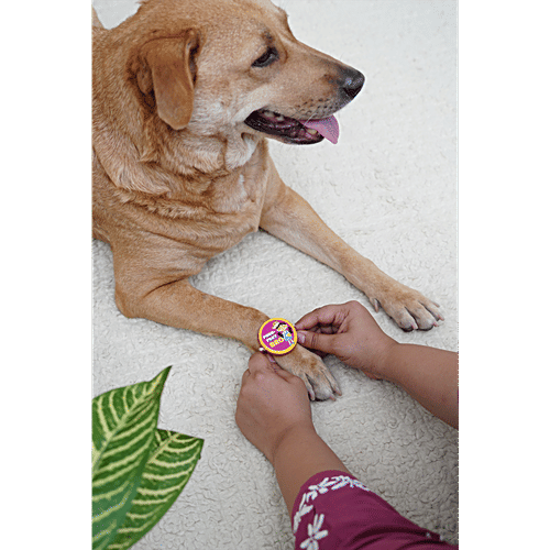 Bearhugs Purr-Fect Bro Rakhi For Cats, 1 pc  