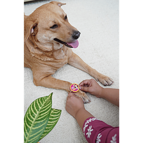 Bearhugs Purr-Fect Bro Rakhi For Cats, 1 pc  