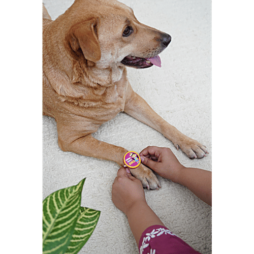 Bearhugs Purr-Fect Bro Rakhi For Cats, 1 pc  