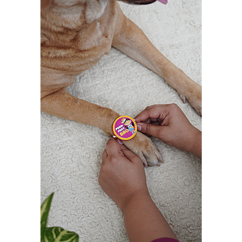 Bearhugs Purr-Fect Bro Rakhi For Cats, 1 pc  