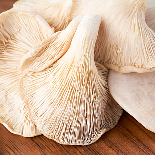 fresho! King Oyster Mushroom, 100 g