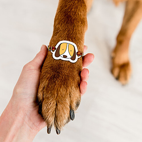 Mad Over Print Dog Face Pet Rakhi, 1 pc Dog Rakhi, Pet Rakhi, Dog