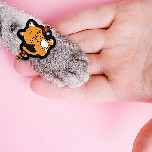 Mad Over Print Cat Pet Rakhi, 1 pc Cat Rakhi, Pet Rakhi, Cat