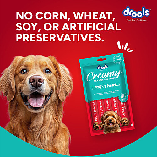 Drools Chicken & Pumpkin Creamy Lickable Dog Treats, 75 g (Buy 4 Get 1 Free) 