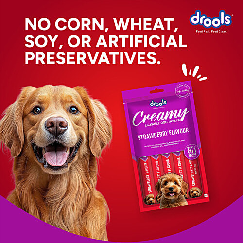 Drools Strawberry Flavour Creamy Lickable Dog Treats, 75 g (Buy 4 Get 1 Free) 