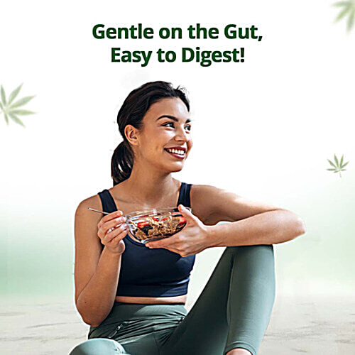 Hampa Nutrition Vanilla Hemp Protein Powder, 23 g  No Added Sugar, Lactose Free, Easy To Digest, Gluten Free