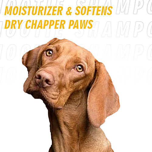 Nootie Pet Paw Butter, 100 g Natural Moisturiser for Dogs & Cats