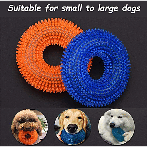 Nootie Spiky Ring Teething Toy For Dogs - Assorted Colour, 1 pc Chew-Resistant Rubber Toy for Healthy Gums & Teeth, Interactive & Durable Dog Chew Toy